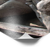 Impression Photo Un Peu De Paix (Coin)