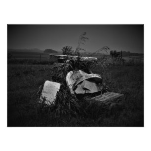 Impression Photo "Un rassemblement apaisant"