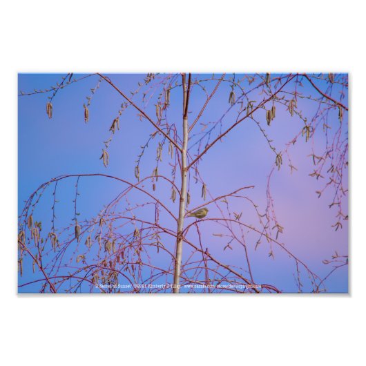 Impression Photo Un secret au coucher du soleil (Devant)