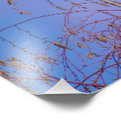 Impression Photo Un secret au coucher du soleil (Coin)