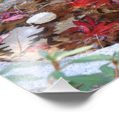 Impression Photo Un service d'automne (Coin)