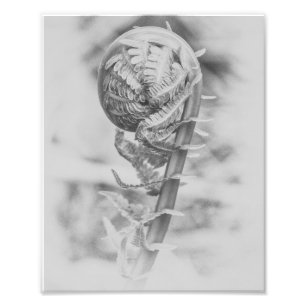 Impression Photo Uncurling Woodland Fern noir et blanc Imprimer 2