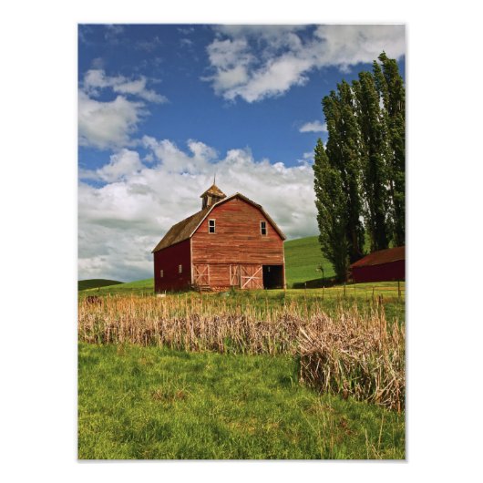 Impression Photo Une balade dans le pays agricole de Palouse (Devant)