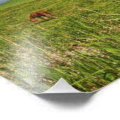 Impression Photo Une balade dans le pays agricole de Palouse 3 (Coin)