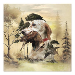 Impression Photo Une bécasse avec le setter anglais