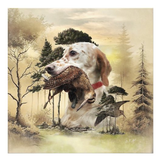 Impression Photo Une bécasse avec le setter anglais (Devant)