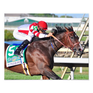 Impression Photo Une chanson parfaite