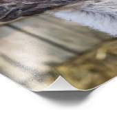 Impression Photo Une joyeuse Llama (Coin)