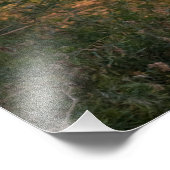 Impression Photo Une mouche d'aigrette (Coin)