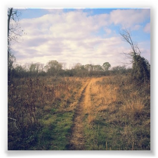 Impression Photo Une route moins fréquentée (Devant)