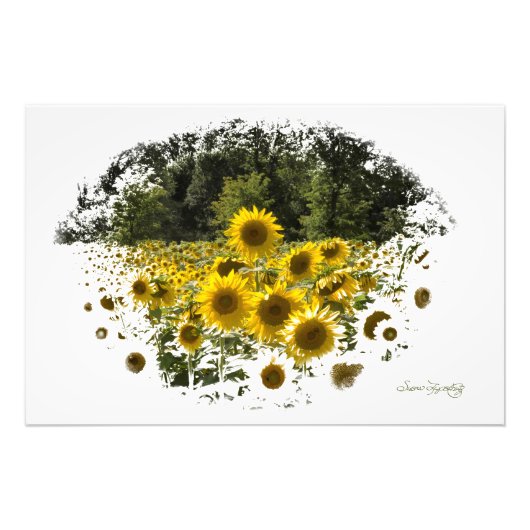 IMPRESSION PHOTO UNE TAILLE STANDARD (Devant)