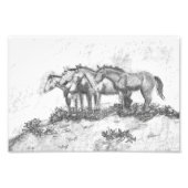 Impression Photo Untamed (Devant)