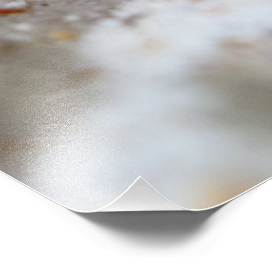 Impression Photo Urchine de mer violette (Coin)