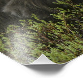 Impression Photo USA, Alaska, Nome. Gros plan du boeuf musqué (Coin)