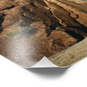 Impression Photo USA, Arizona, Grand Canyon National Park, (Coin)