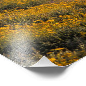 Impression Photo USA, Arizona, Organ Pipe Cactus National 2 (Coin)