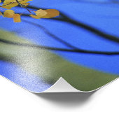 Impression Photo USA, Colorado. Feuilles d'Aspen (Coin)