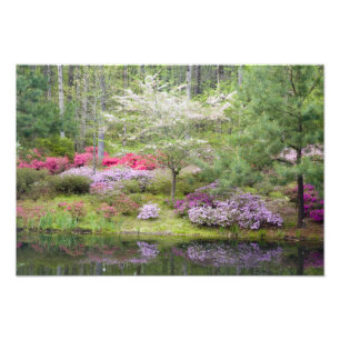 Impression Photo USA, Géorgie, Pine Mountain. Un mélange de