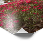 Impression Photo USA, Géorgie, Pine Mountain. Une forêt de (Coin)