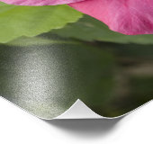 Impression Photo USA, Hawaï, Oahu. L'Hibiscus est le 2 (Coin)