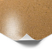 Impression Photo USA, Hawaii, Kauai, Kapa'a, front de mer. RF) (Coin)