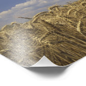 Impression Photo USA, Kentucky, Louisville. Cultures de blé (Coin)