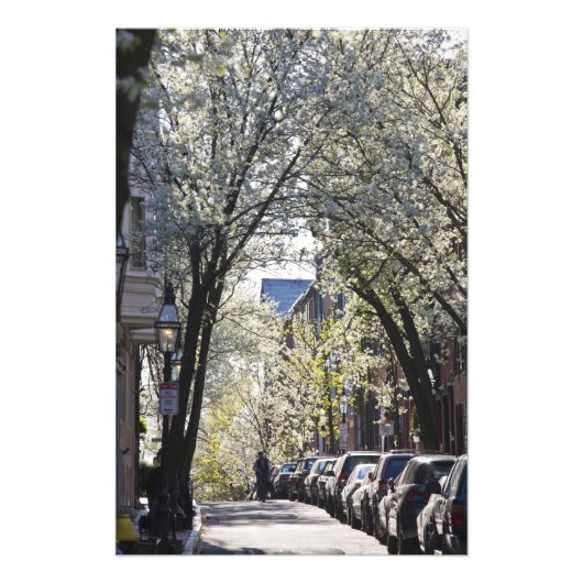 Impression Photo USA, Massachusetts, Boston, Beacon Hill. (Devant)