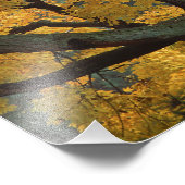 Impression Photo USA, Michigan, Gros plan de l'érable à sucre dans (Coin)