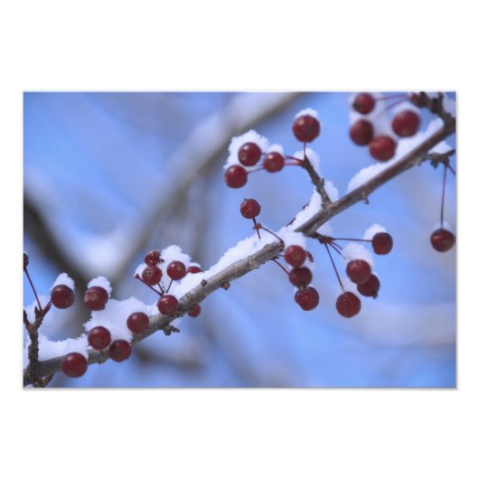 Impression Photo USA, Nouvelle-Angleterre, Massachusetts, Lecture, (Devant)