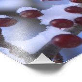 Impression Photo USA, Nouvelle-Angleterre, Massachusetts, Lecture, (Coin)