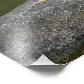 Impression Photo USA, Oregon, Ashland, Lithia Park. Automne (Coin)