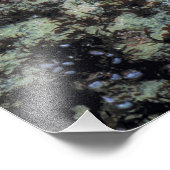 Impression Photo USA, Oregon, Nepture SP. Mer aux tons bijoux (Coin)