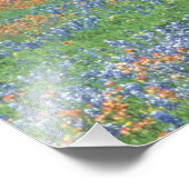 Impression Photo USA, Texas, Texas Hill Country Paintbrush et (Coin)