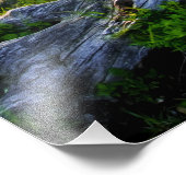 Impression Photo USA, Virginie, Shenandoah National Park. (Coin)