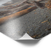 Impression Photo USA, Washington, Parc National Olympique, Rialto (Coin)