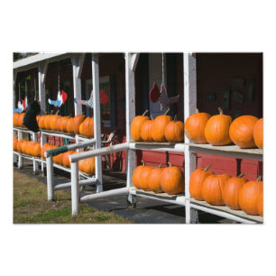 Impression Photo USA, WISCONSIN, Washburn : Lac Superior Shore,