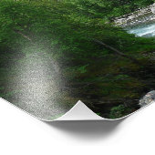 Impression Photo Vacances en train Denali Express Alaska Photograph (Coin)