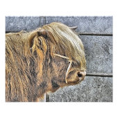 IMPRESSION PHOTO VACHE (Devant)