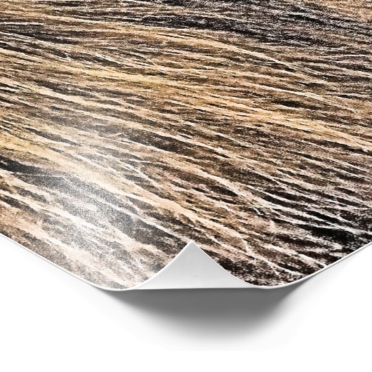 IMPRESSION PHOTO VACHE (Coin)