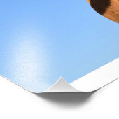 Impression Photo Vache drôle (Coin)