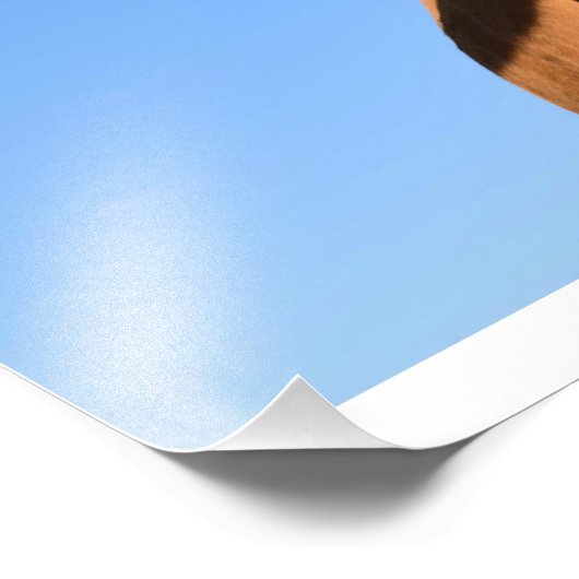 Impression Photo Vache drôle (Coin)