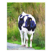 IMPRESSION PHOTO VACHES (Devant)