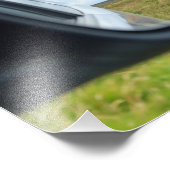 Impression Photo Vaches dans le miroir (Coin)