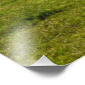 Impression Photo Vaches sur une prairie avec phare (Coin)