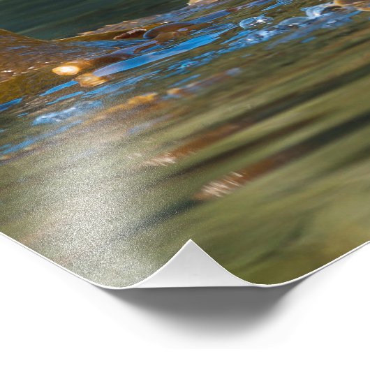 Impression Photo Vague Louter de mer (Coin)