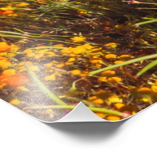 Impression Photo Vallée d'Antelope (Coin)