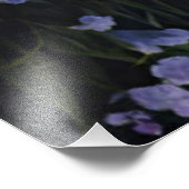 Impression Photo Vallée de la Lavender à Dawn (Coin)