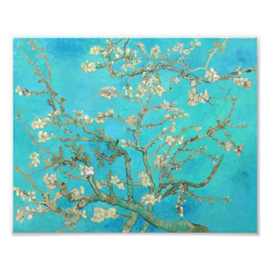 Impression Photo Van Gogh Almond Blossoms (Devant)