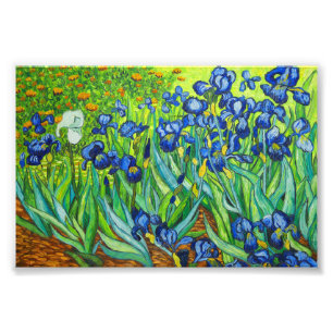 Impression Photo Van Gogh Irises