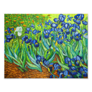 Impression Photo Van Gogh Irises